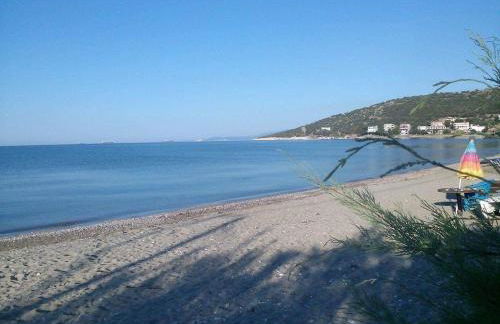 Maria Studio - Foto 48