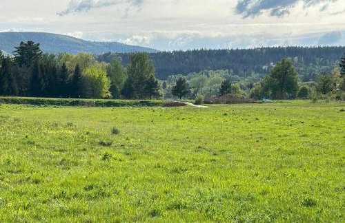 Leśny Park Polanica - Foto 49