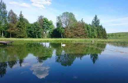 Dworek Szarki - Foto 6