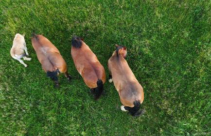 Nad Krolówką - Foto 79