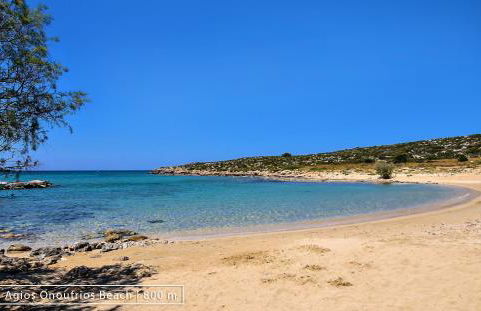 Talos Luxury Suites - Photo 128