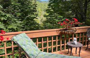 Cashiers Cedar Creek Club Cabin - Foto 27