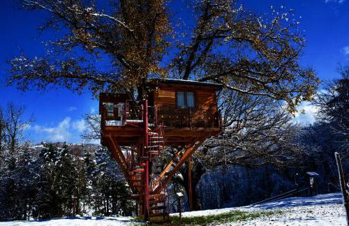 Casa sull'albero Bocchineri - Photo 46