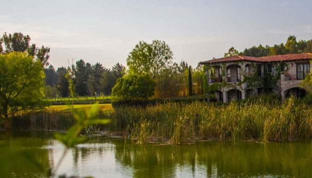 Alrededores de los viñedos