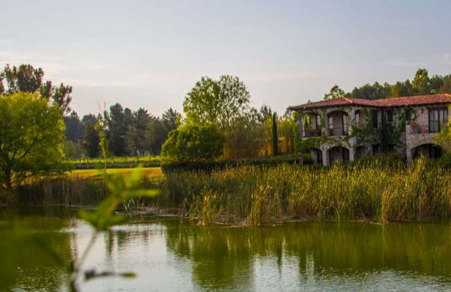 Visita a un viñedo de San Miguel de Allende - Foto 4