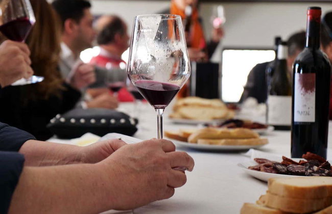 Visita a la bodega Balcona - Foto 7