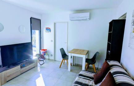 Haut de villa 2P, jardin, clim, prise VL Electrique - Foto 7