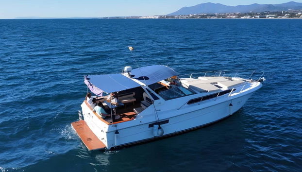 Dolphin Spotting in Marbella - Foto 2