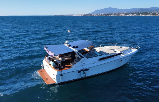 Avistamiento de delfines en la costa de Marbella - Foto 2