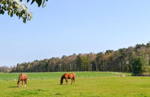 Sheilas Cottage - Foto 18