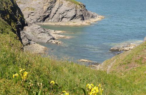 Red Kite Cottage - Photo 10