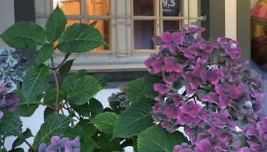 Landhausvilla Strittberg 7 - Foto 4