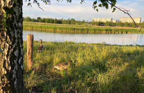 Nahe Airport Ber Adlershof - Foto 22