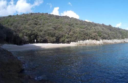 Apartments Plavčić - Foto 45