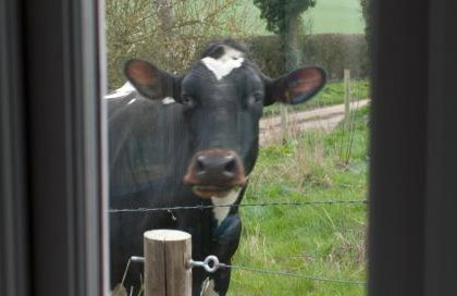 Bull Farm Studios - Foto 49