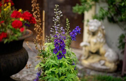 Obere Mühle - Scheunenwohnung mitten im Grünen - Foto 18
