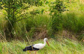 FEWO Hafenblick - Foto 12