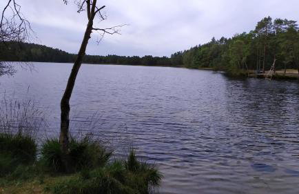 Domki pod Łebą - Photo 51