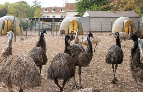 Bucks County Home Farm Philadelphia Dog Friendly - Foto 53