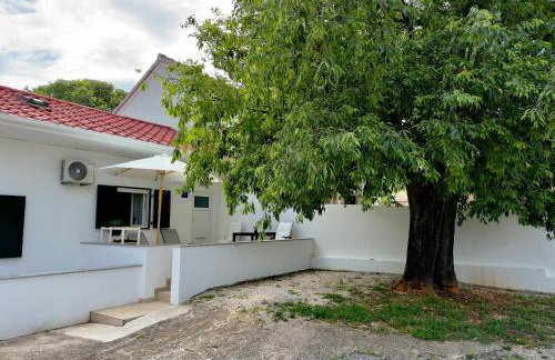 Matek family & studio apartment Rovanjska - Foto 12