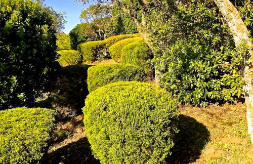 Villa Reve de Sud - Foto 25