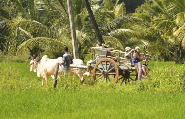 Visite privée de Sigirîya et Hiriwadunna - Photo 5