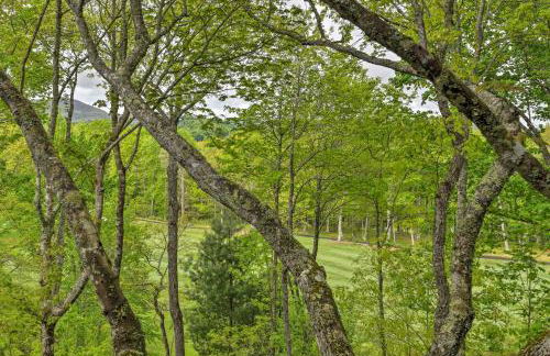 Trillium Home with Golf Course Views and Fireplaces! - Foto 34