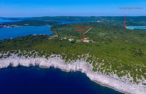 Sakarun - Ena - Photo 58