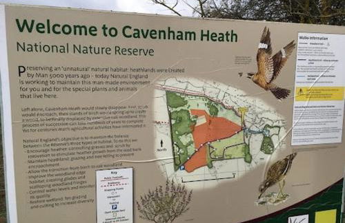 Cosy Rural Retreat Perfect for Families and Pets - Foto 34