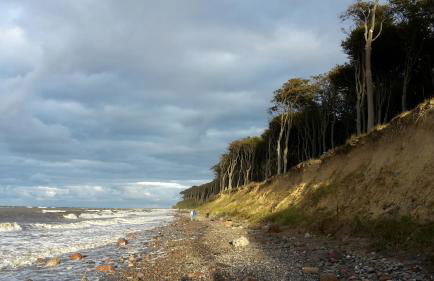 Ferienwohnungostseeblick - Foto 69