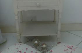 Apartamento Parque das Palmeiras - Foto 41