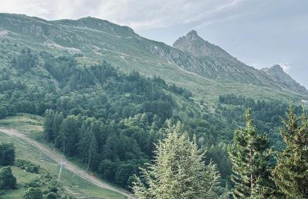 Les Thymels - Foto 38