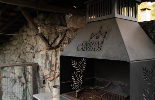 Quinta De Calvelos - Foto 46