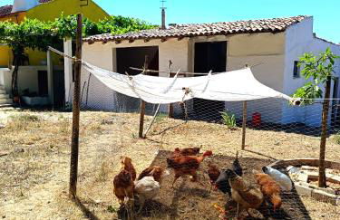 Casa 99 in Barbéns, Miranda do Corvo - Foto 38