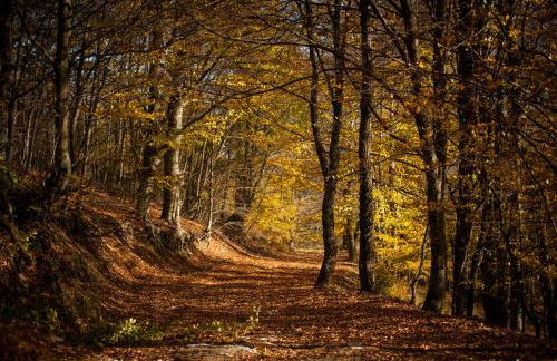 Ιξός Home - Photo 65