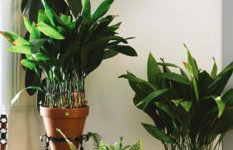 CASA RURAL LA LIBERTAD - Foto 40