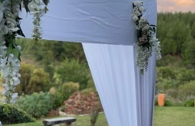 Lake Alexander Country Resort - Foto 22