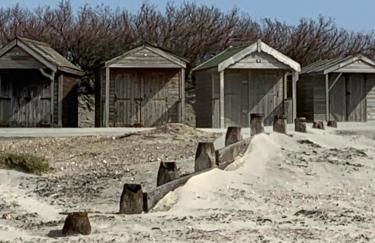 The Hen House - Photo 31