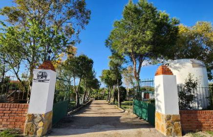 Agroturismo Viña Inés Toledo - Photo 36