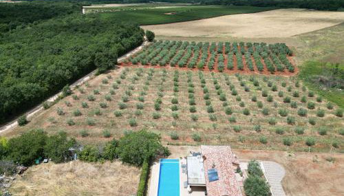 Villa Absolute privacy - Photo 3