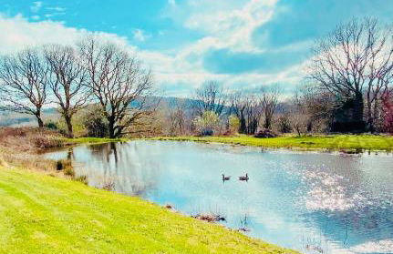 The Farmhouse - Foto 37