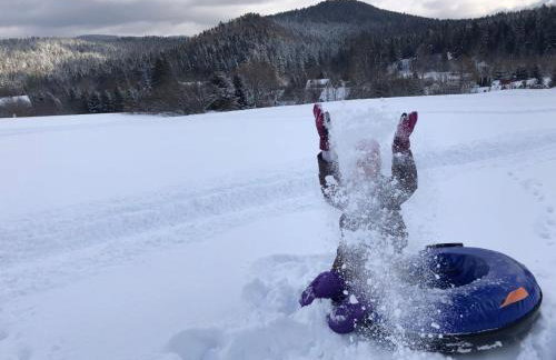 Perełka Bieszczady Domki - Photo 13