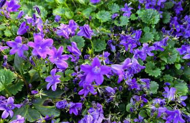 Gemütliche, moderne Wohnung in Fabrikanten Villa - Foto 24