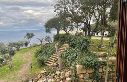 Bouganville in Villa Greco - Foto 35