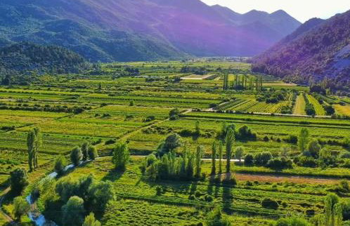 Heritage house Stipanovi dvori with heated pool and jacuzzi - Foto 50