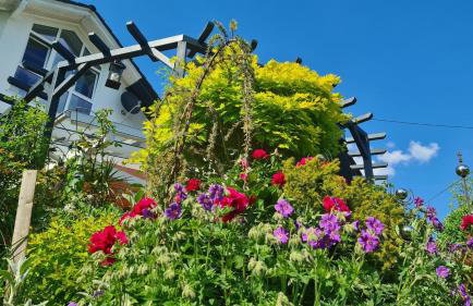 Wildnisresidenz am Nationalpark - FeWo mediterran - Photo 6