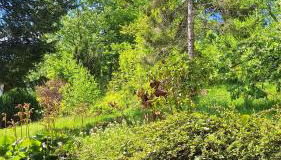 Haus Westharz Goslar - Foto 2