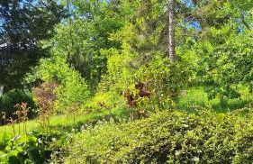 Haus Westharz Goslar - Foto 2