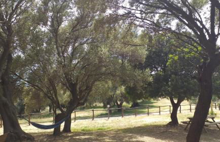 Vistamare - Photo 39