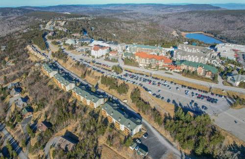 Cozy Condo at Summit - Foto 23